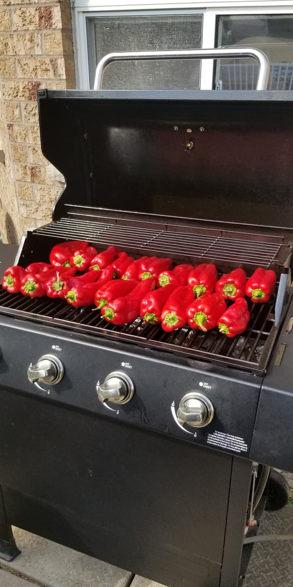 whole red peppers roasting on an open BBQ