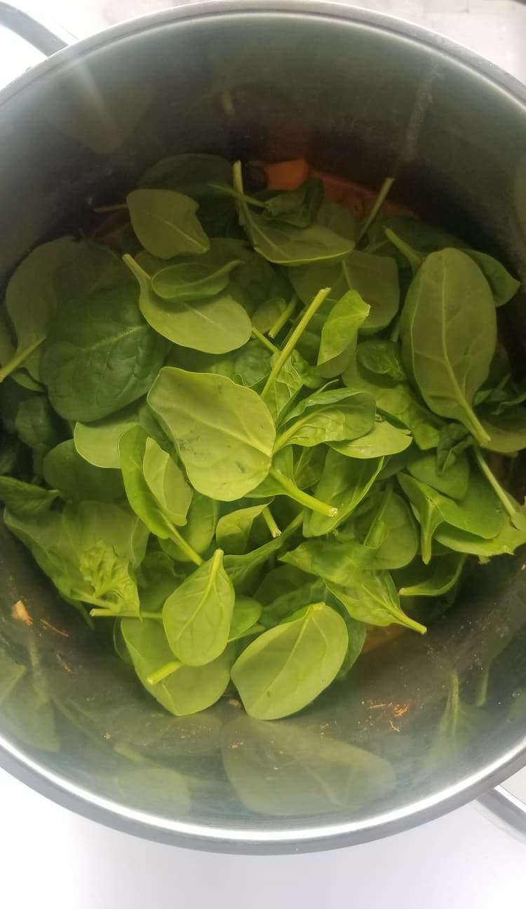 pot of fresh spinach