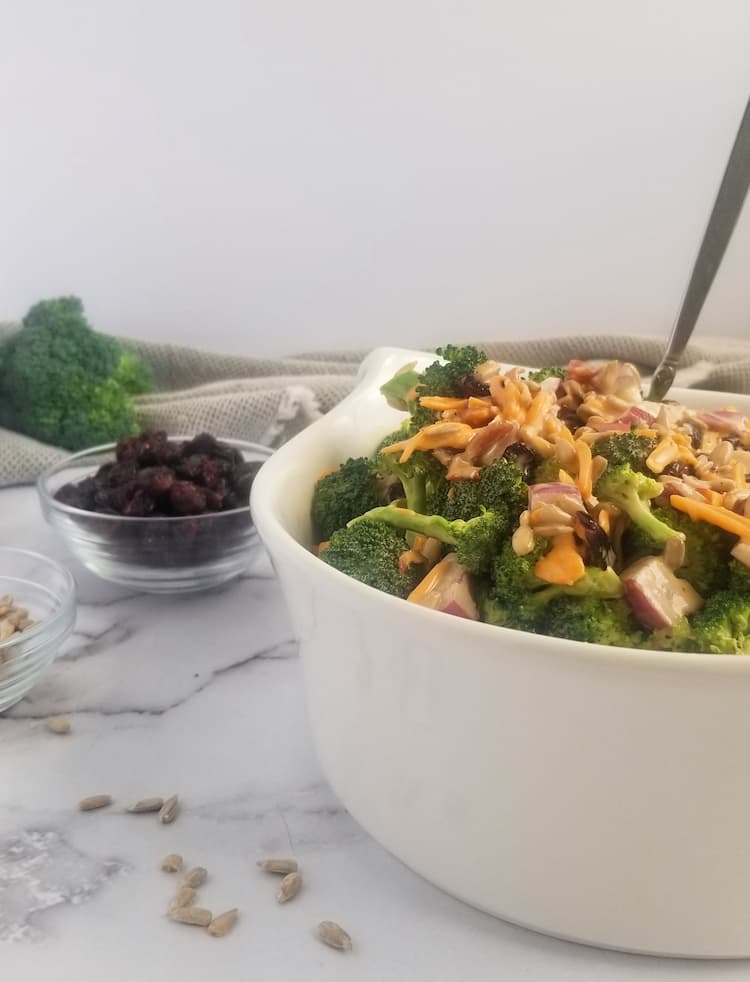 side angel of big bowl of broccoli with shredded cheddar cheese, red onions, dried cranberries, sunflower seeds, spoon in bowl, bowl of cranberries in background, scattered sunflower seeds in the front, broccoli florets in background, spoon sticking out of bowl