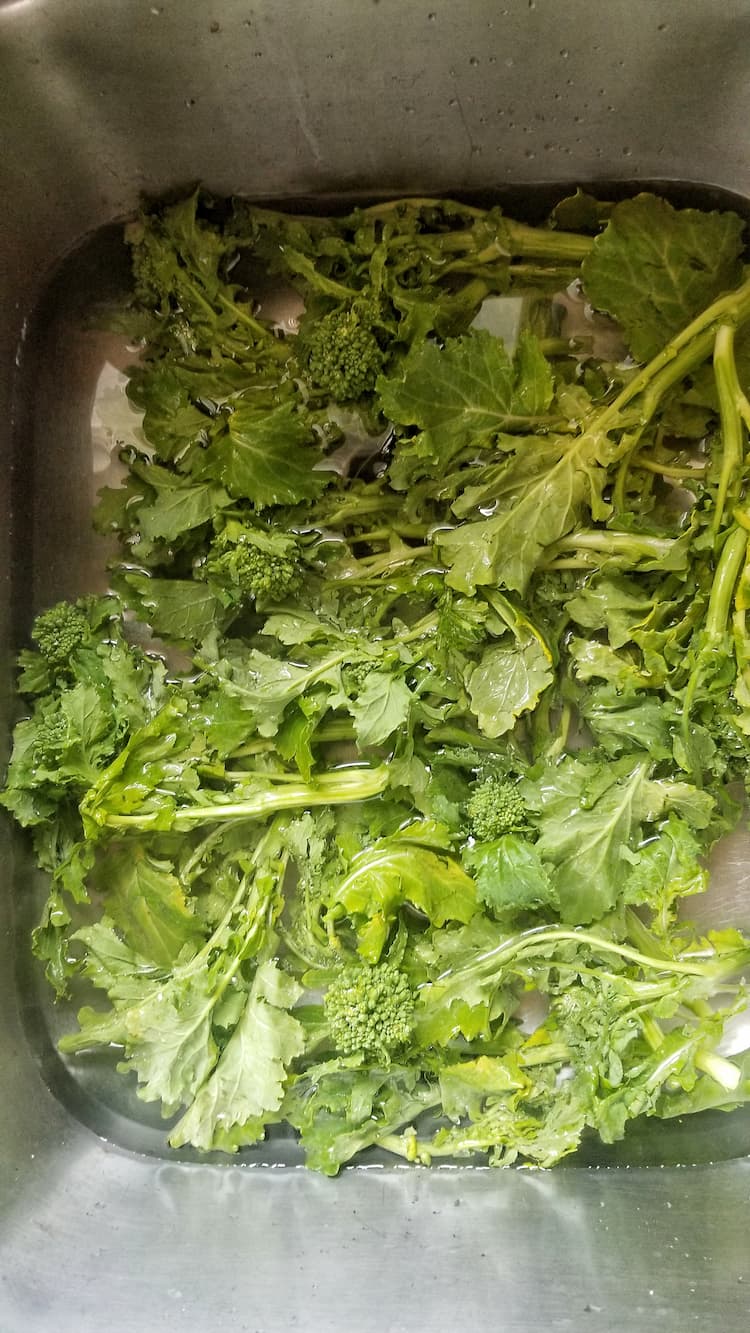 sink full of water and rapini