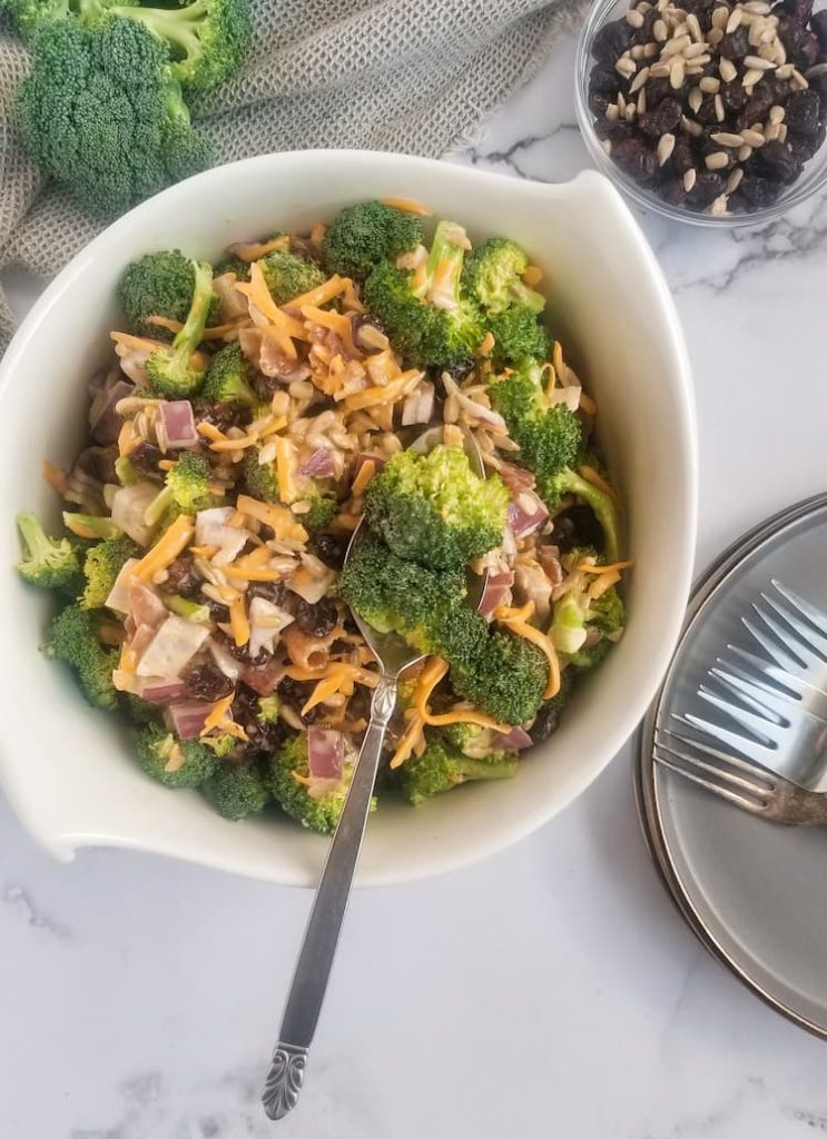 big bowl of broccoli with shredded cheddar cheese, red onions, dried cranberries, sunflower seeds, spoon in bowl, broccoli florets in background with small bowl of sunflower seeds and dried cranberries, plates and forks at the bottom