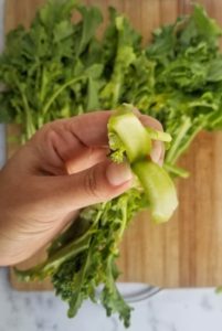 hand holding a rapini split stem over a bunch of rapini