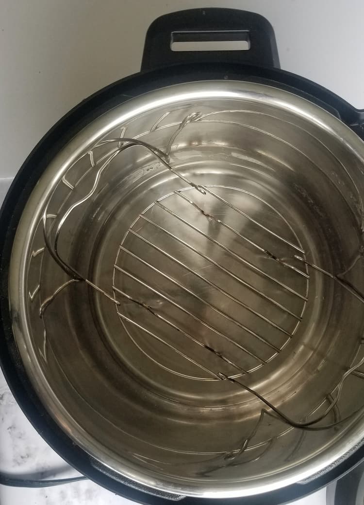 instant pot with water and trivet inside