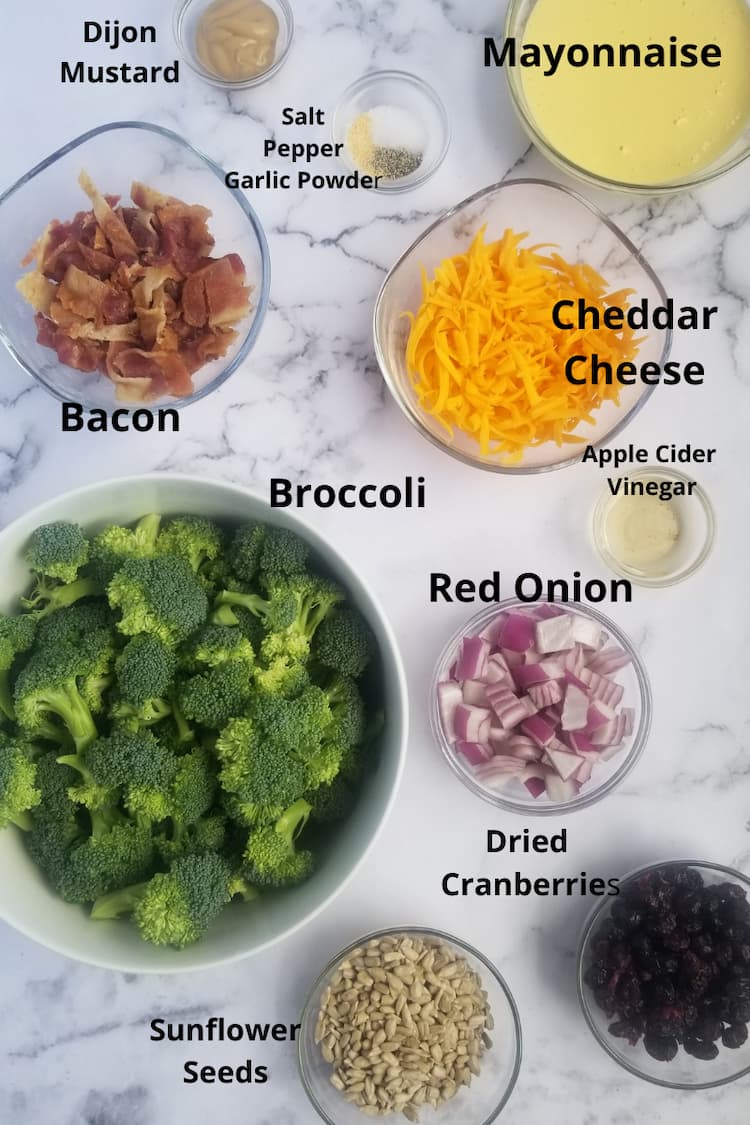 Ingredients for broccoli with bacon salad - broccoli, bacon, sunflower seeds, dried cranberries, cheddar cheese, mayonnaise, apple cider vinegar, salt, pepper, garlic powder, red onions, dijon mustard