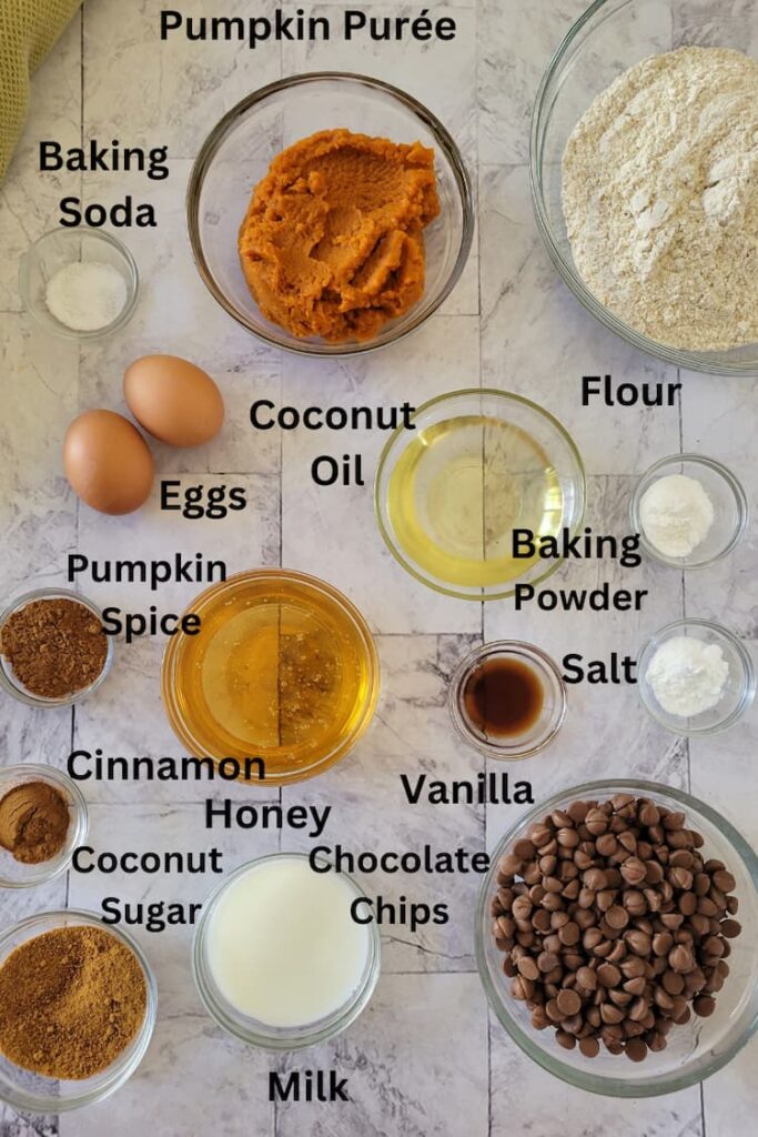 ingredients for chocolate chip pumpkin bread - chocolate chips, pumpkin purée, flour, coconut oil, eggs, salt, baking soda, baking powder, milk, vanilla, coconut sugar, honey, cinnamon, pumpkin spice