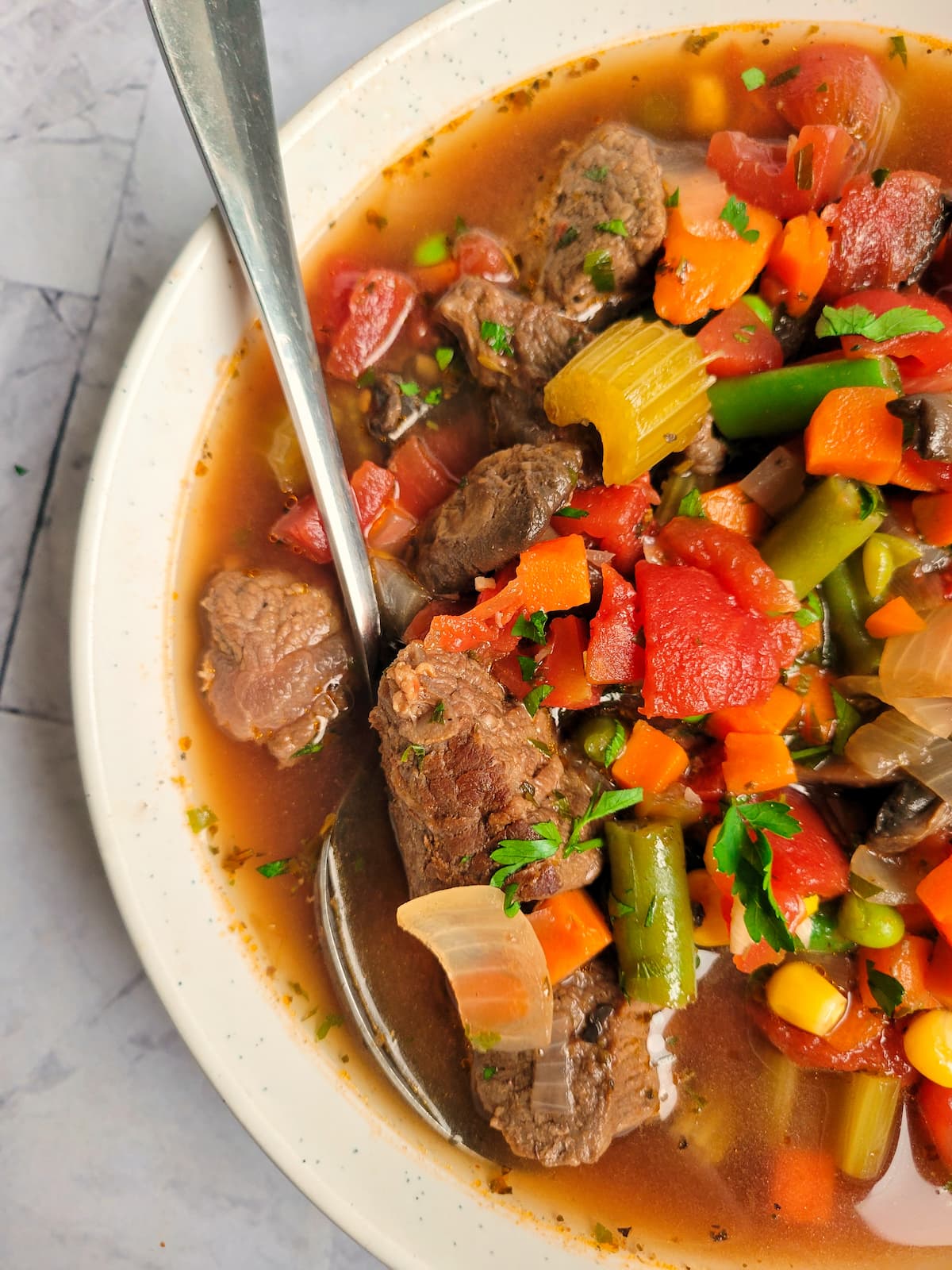 close up of a bowl of beef and vegetable soup with beef chunks, celery, tomatoes, beans, carrots and broth, spoon in the bowl