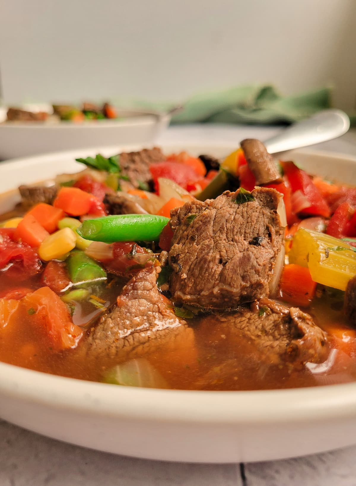 side view of a bowl of soup with cubed beef and veggies
