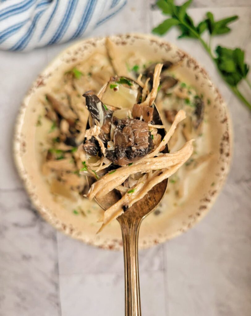 spoonful of mushrooms, shredded chicken, onion, parsley over a bowl of creamy mushroom soup