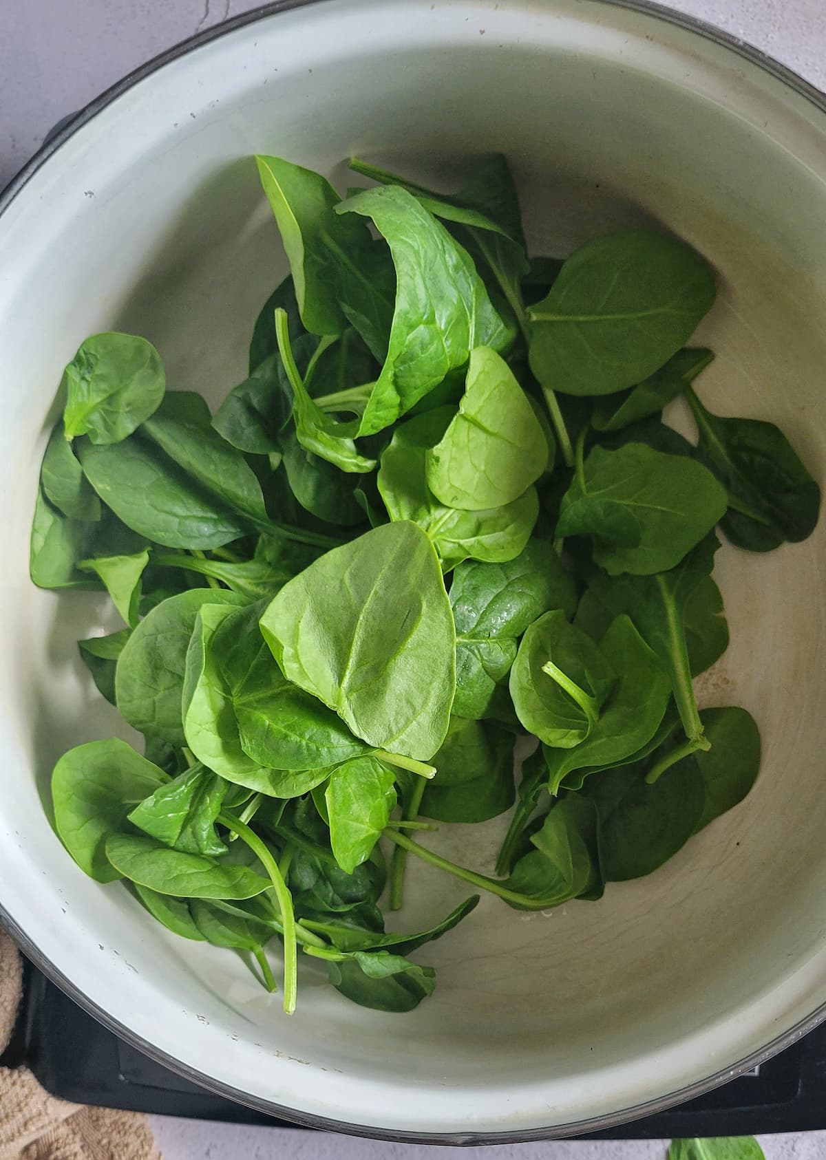 raw baby spinach in a pot