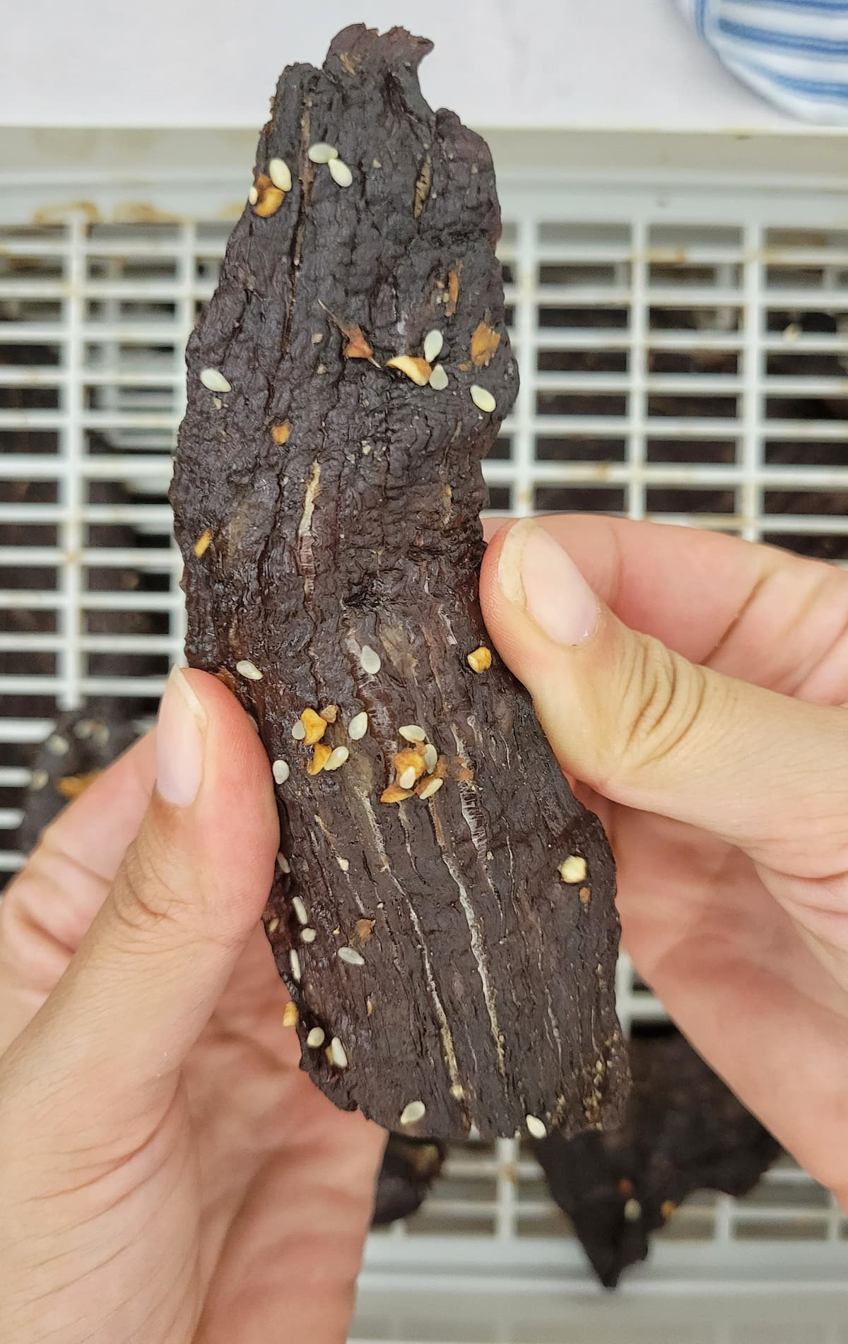 hands holding a slice of beef jerky above a dehydrator