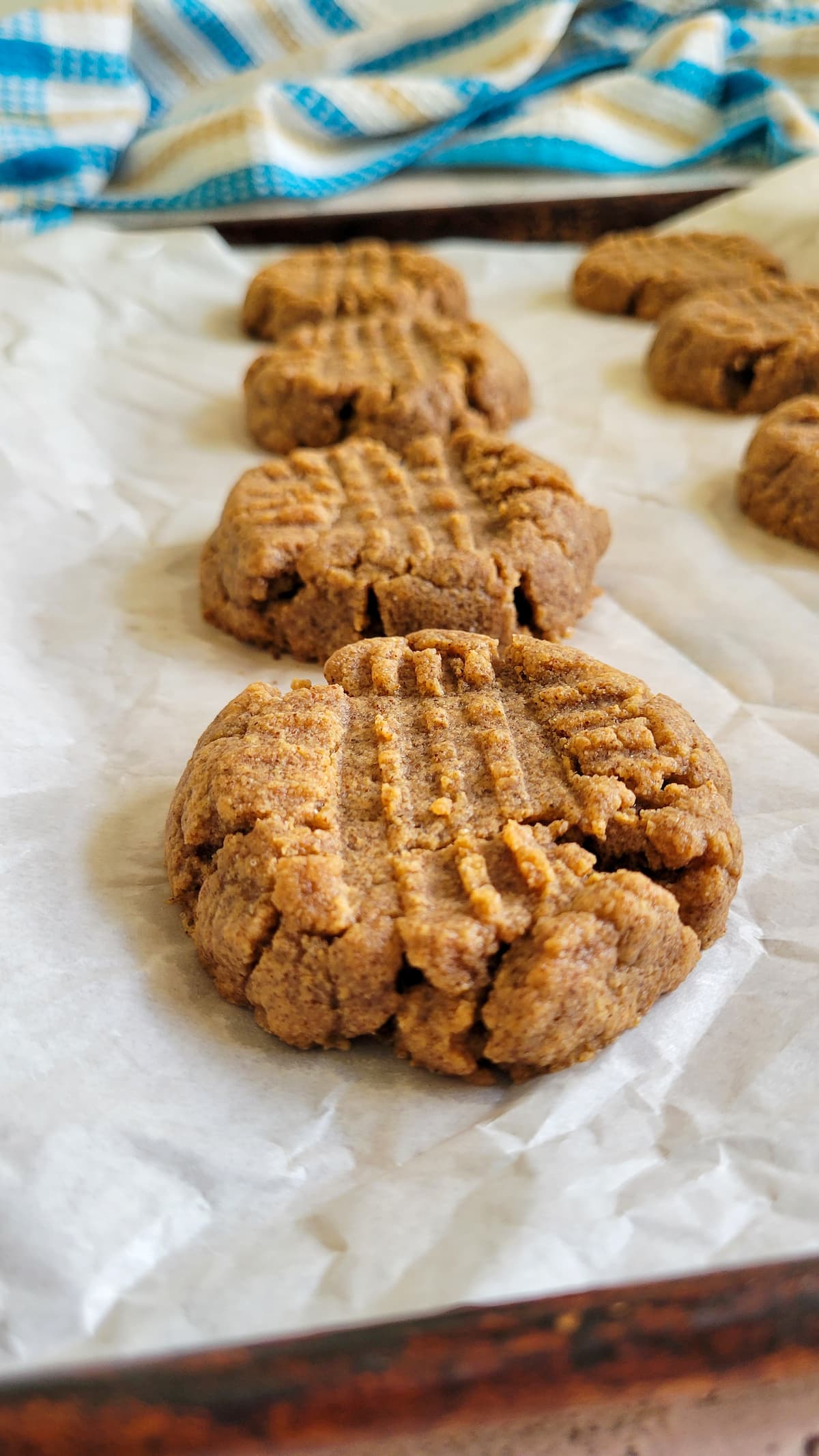 side view of almond butter cookies on a parchment lined baking sheet