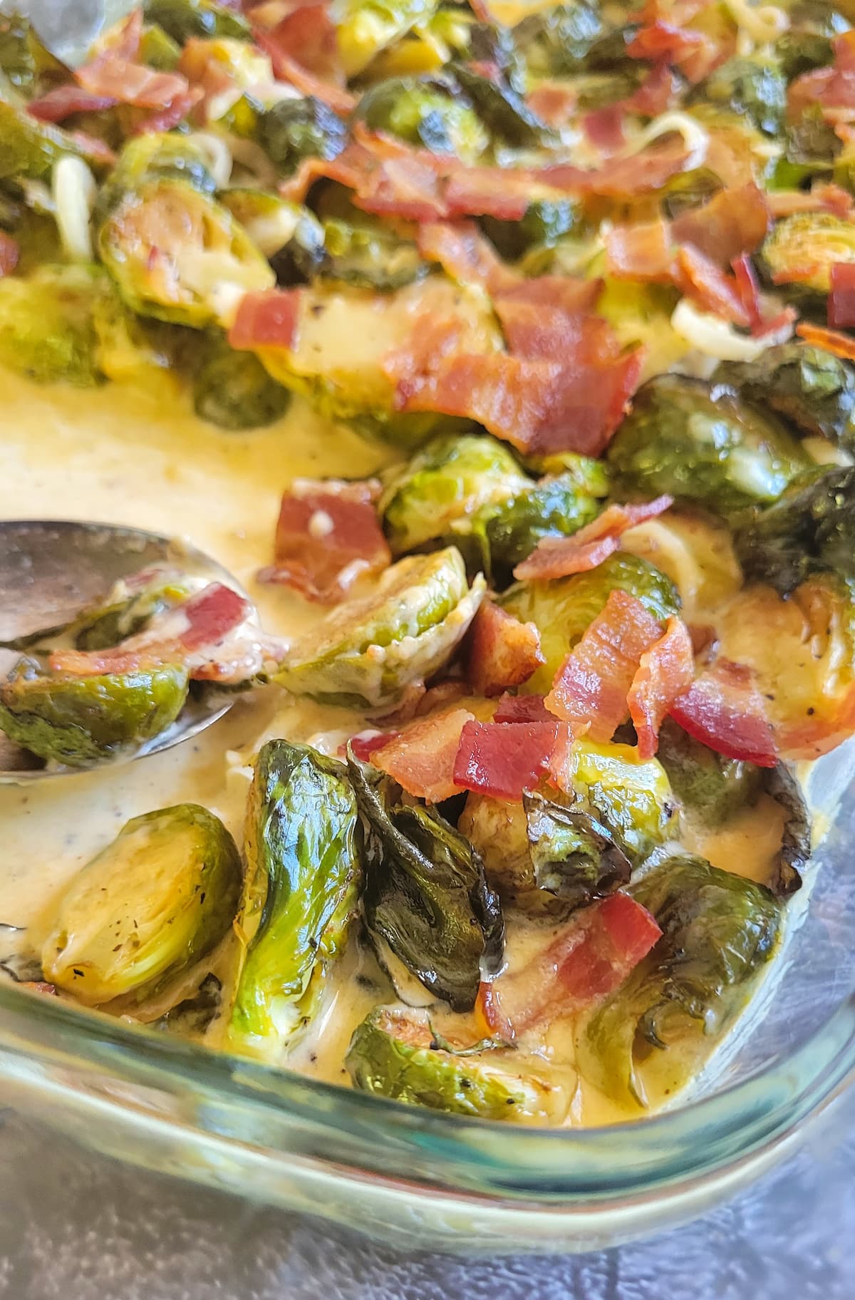 creamy brussels sprouts and bacon in a glass baking dish