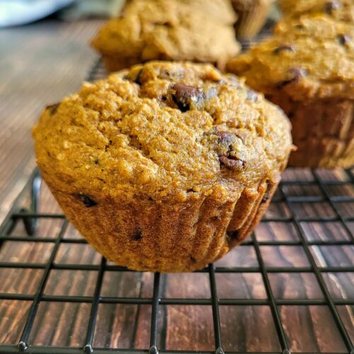 side view of pumpkin chocolate chip muffins on a wire rack