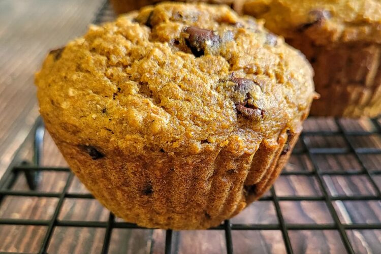 side view of pumpkin chocolate chip muffins on a wire rack