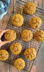 10 chocolate chip pumpkin muffins on a wire rack, hand touching one.