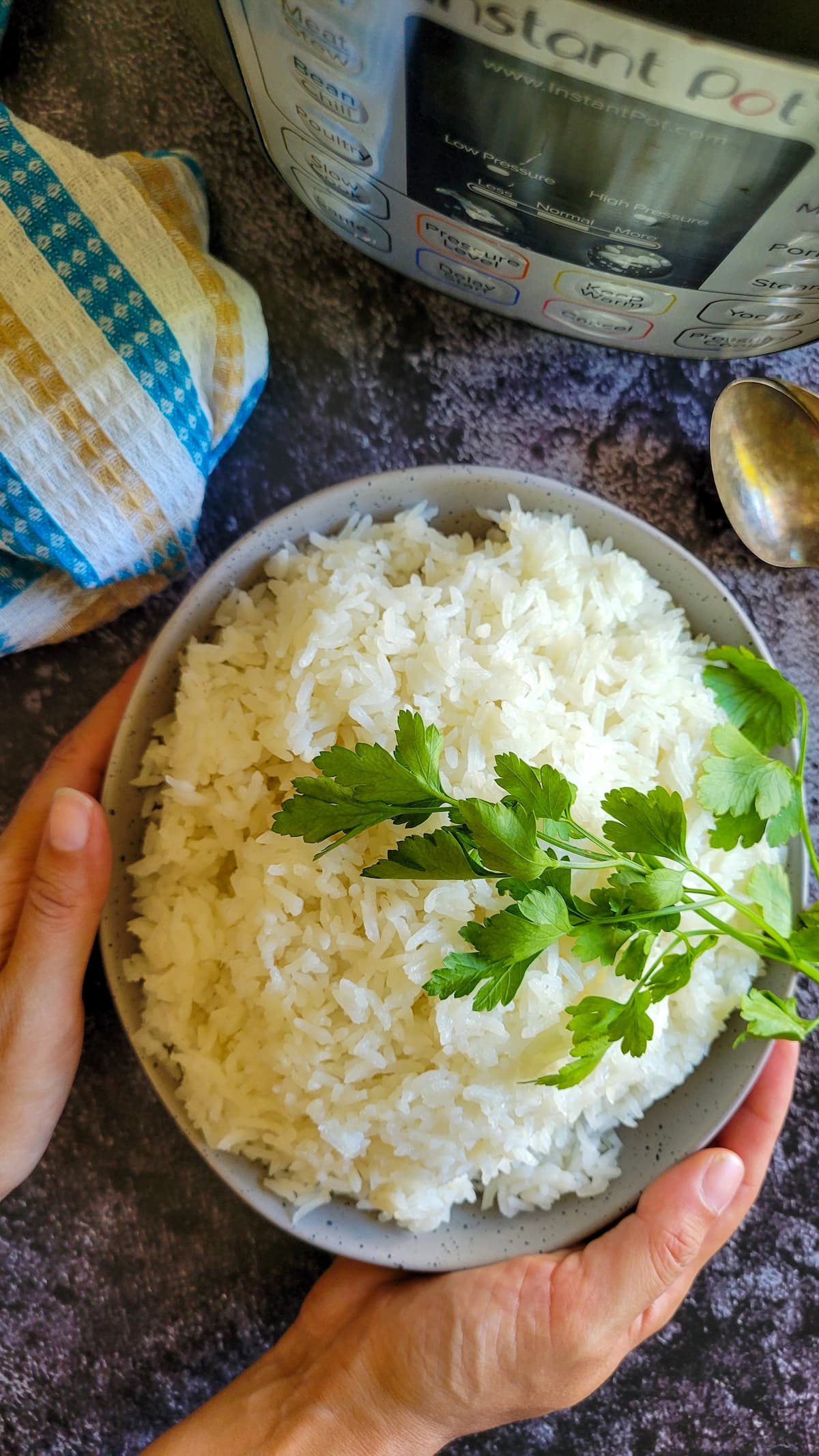 hands holding a bowl of rice garnished with sprigs of fresh parsley