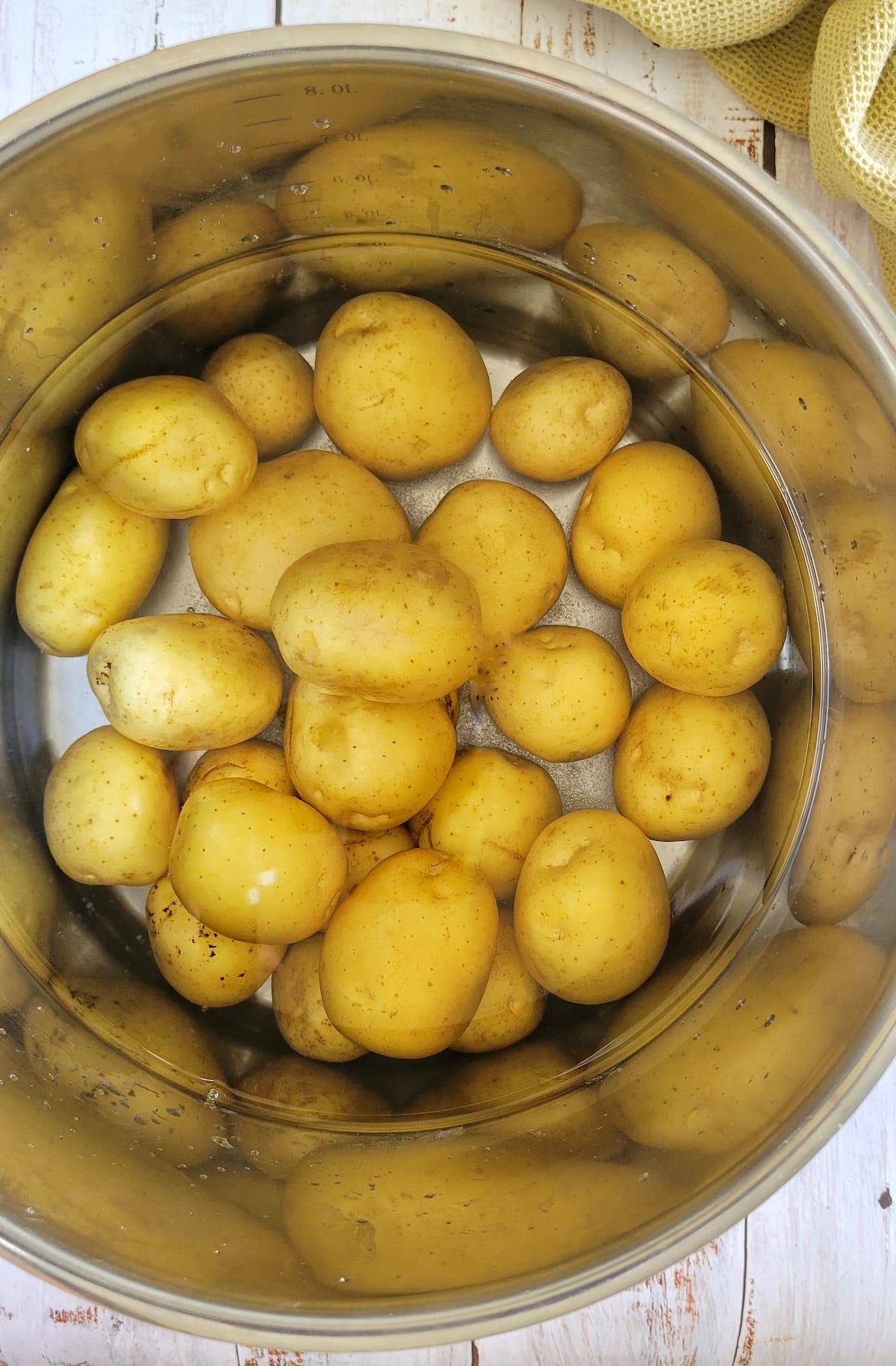 baby potatoes in a pot of water