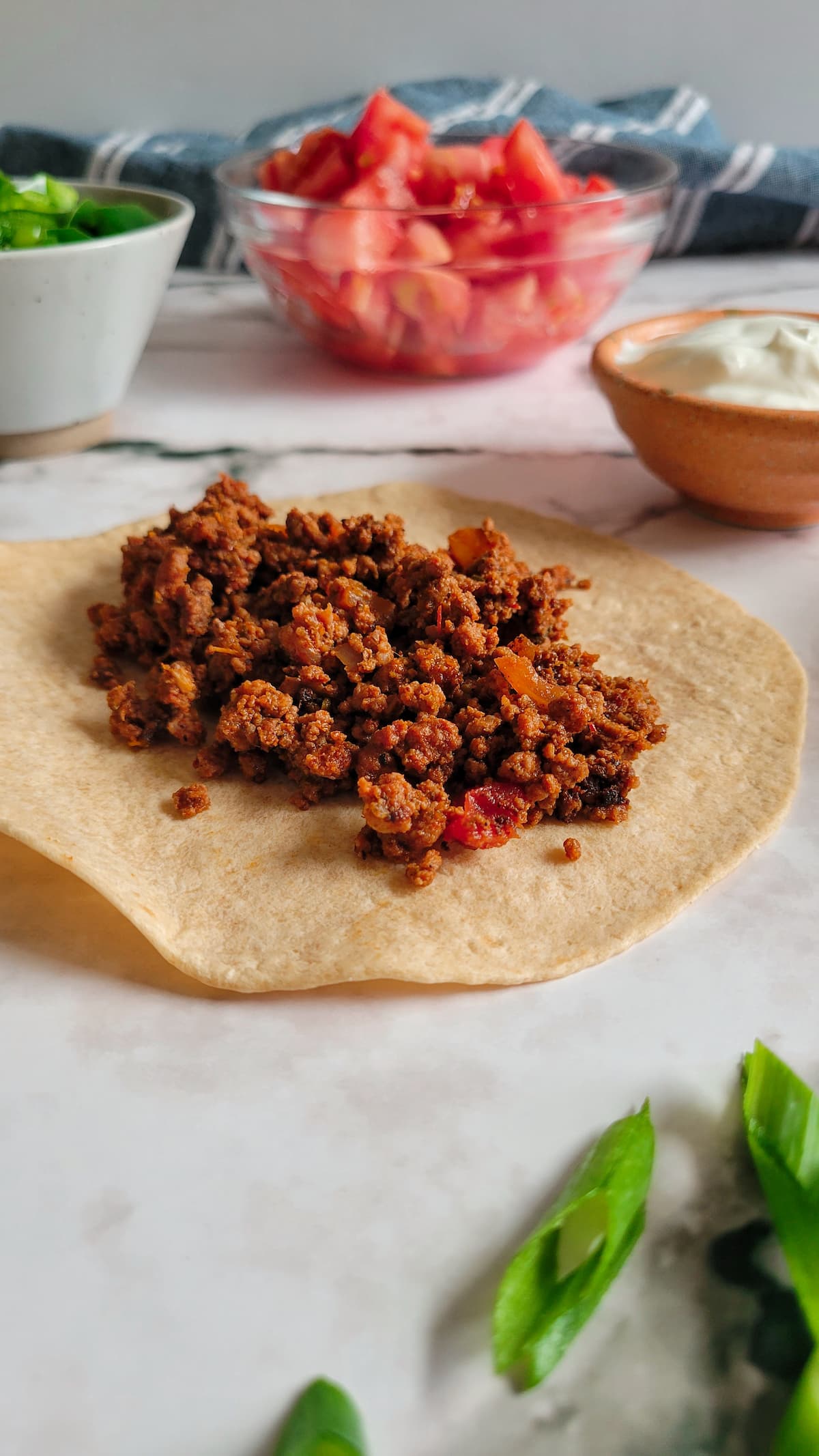 ground beef in a tortilla, bowl of tomatoes, peppers and sour cream in the background