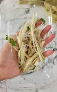 hand holding swiss chard fibers