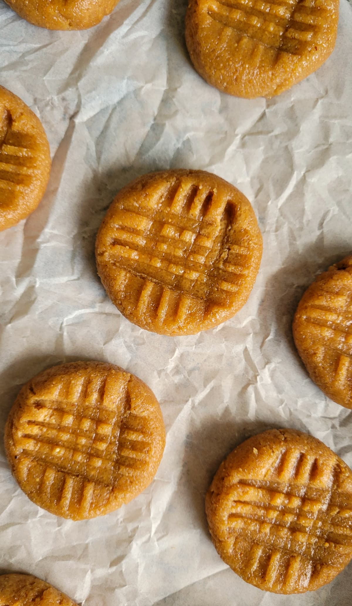 unbaked peanut butter cookies spread out on parchment paper
