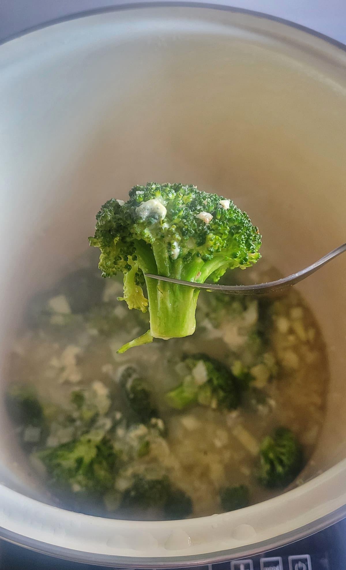 piece of broccoli on a fork over a pot with more