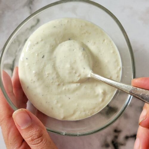 hands holding a bowl of creamy sauce with a spoon in it