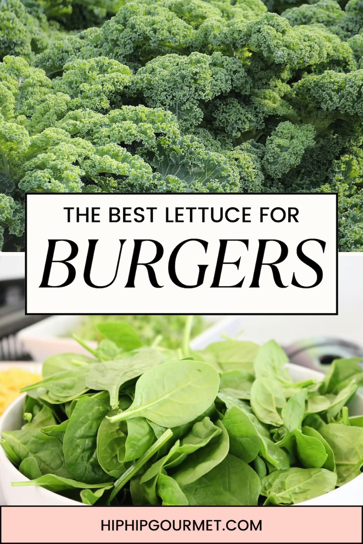 PIN FOR BEST LETTUCE FOR BURGERS