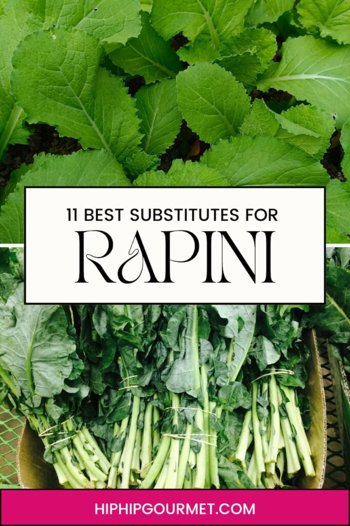 BROCCOLI RABE SUBSTITUTIONS
