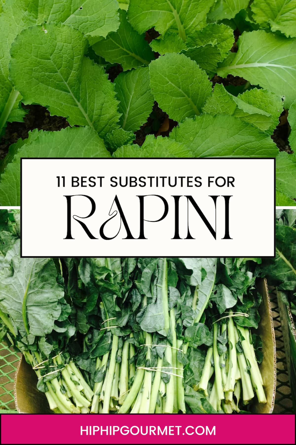 PIN FOR BROCCOLI RABE SUBSTITUTIONS