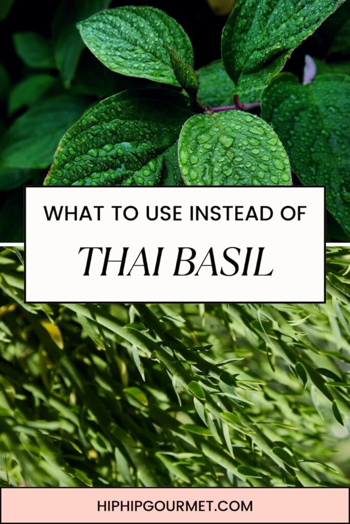 SUBSTITUTES FOR THAI BASIL