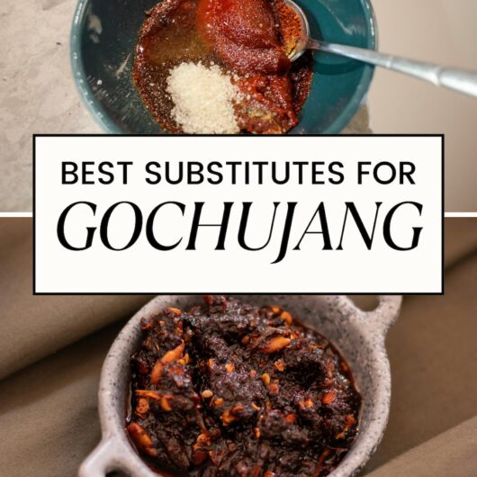 PIN FOR GOCHUJANG SUBSTITUTES