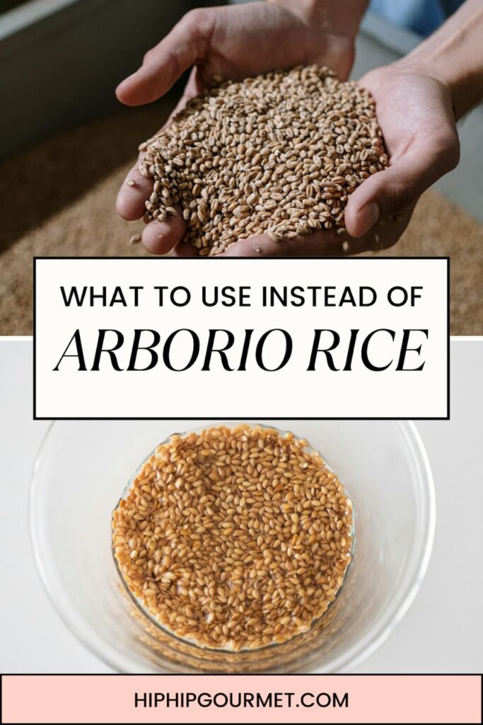 ARBORIO RICE SUBSTITUTES