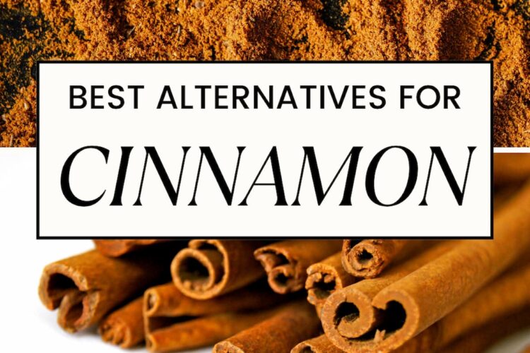 PIN FOR CINNAMON SUBSTITUTES