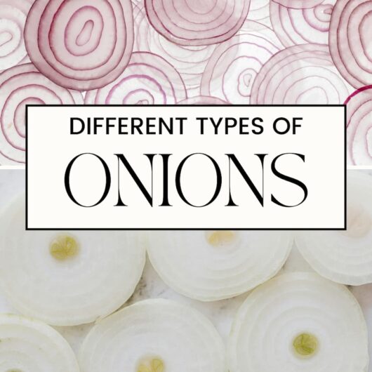 PIN FOR TYPES OF ONIONS