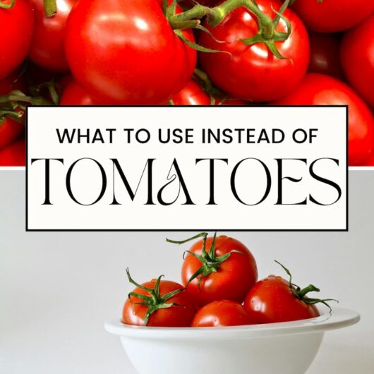 PIN FOR TOMATO SUBSTITUTES