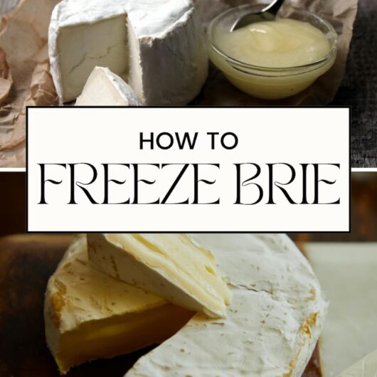 PIN FOR CAN YOU FREEZE BRIE