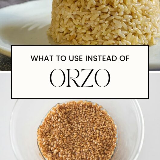 PIN FOR ORZO SUBSTITUTES