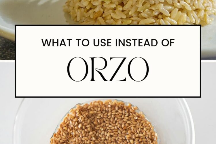PIN FOR ORZO SUBSTITUTES