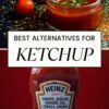 PIN FOR SUBSTITUTE FOR KETCHUP