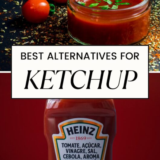 PIN FOR SUBSTITUTE FOR KETCHUP