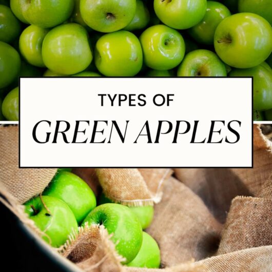 PIN FOR TYPES OF GREEN APPLES
