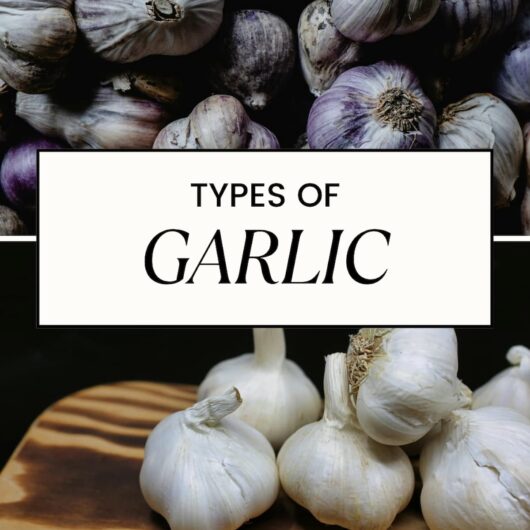 PIN FOR TYPES OF GARLIC