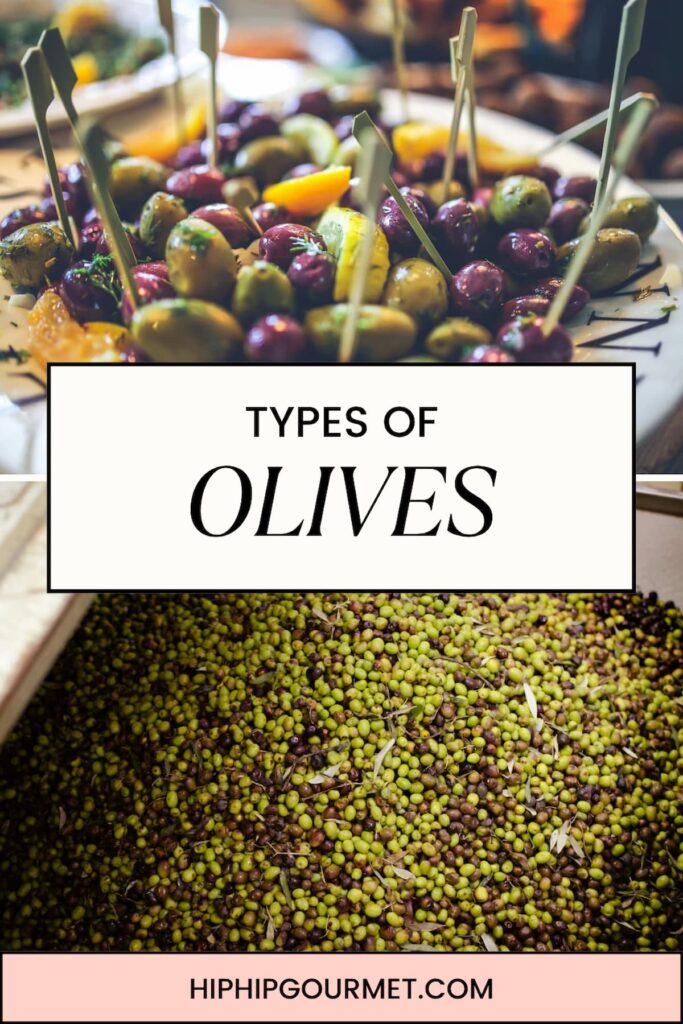 TYPES OF OLIVES