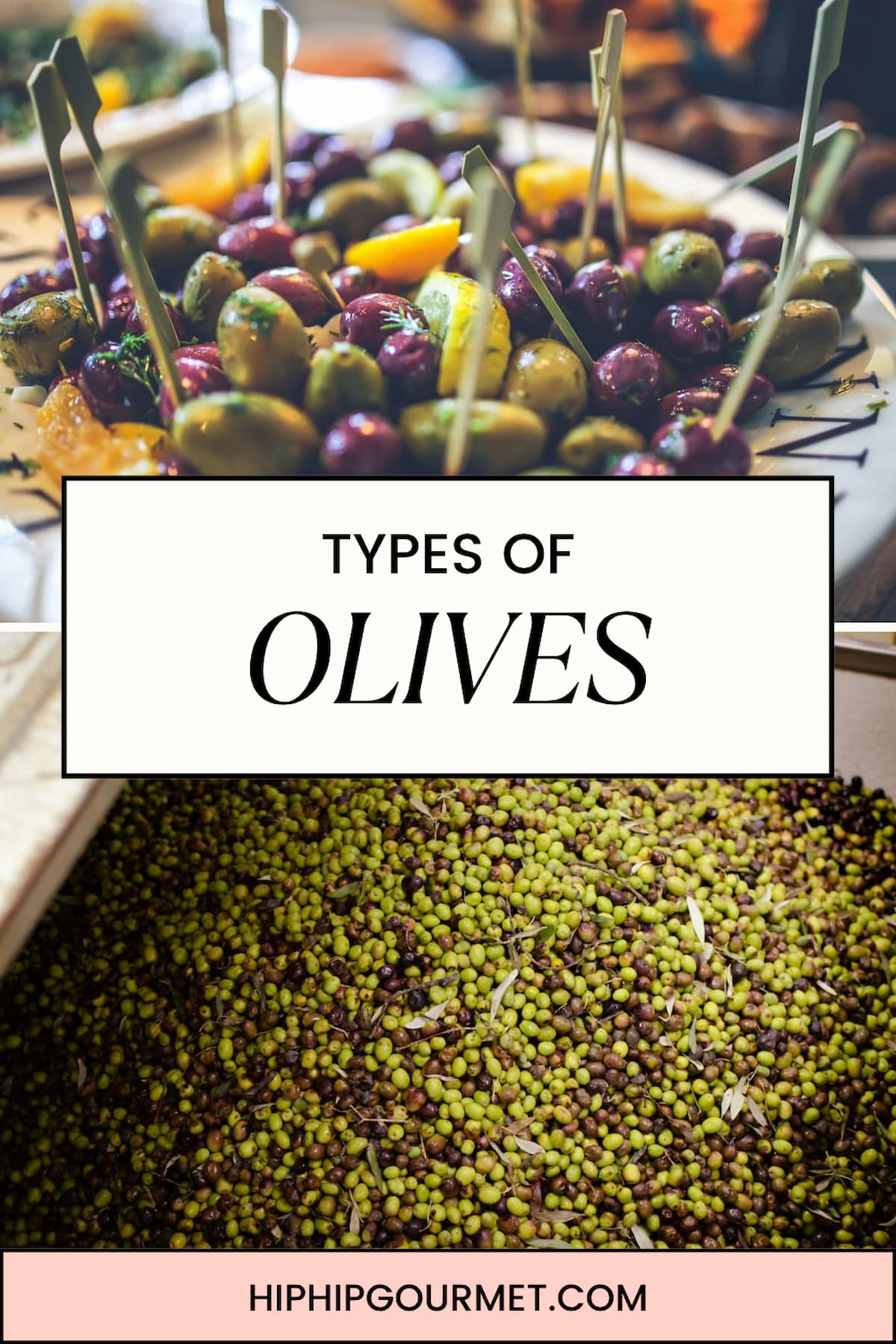 TYPES OF OLIVES