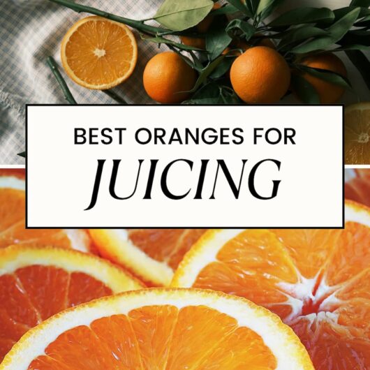 PIN FOR BEST ORANGES FOR JUICING