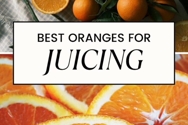 PIN FOR BEST ORANGES FOR JUICING