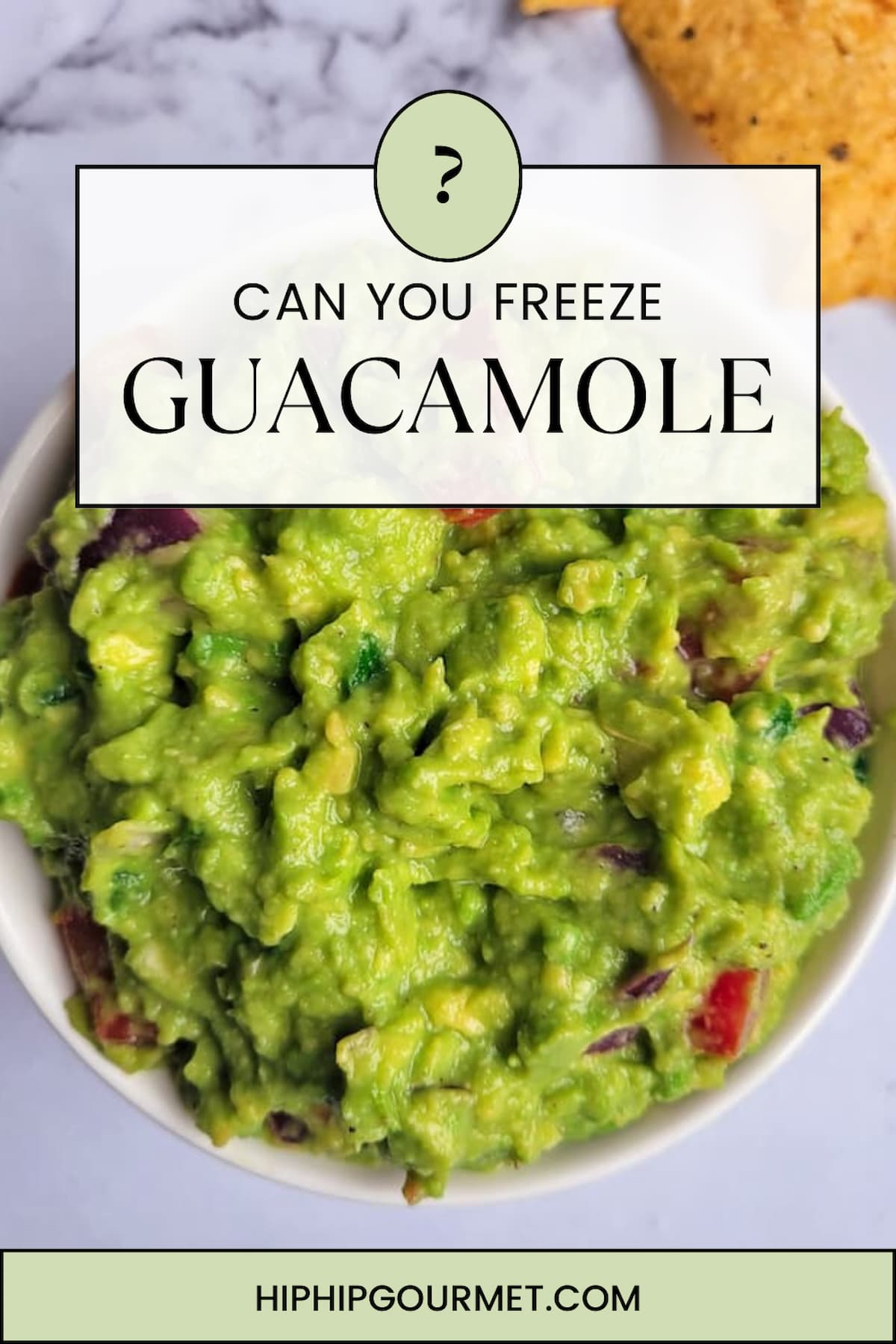 PIN FOR CAN YOU FREEZE GUACAMOLE?