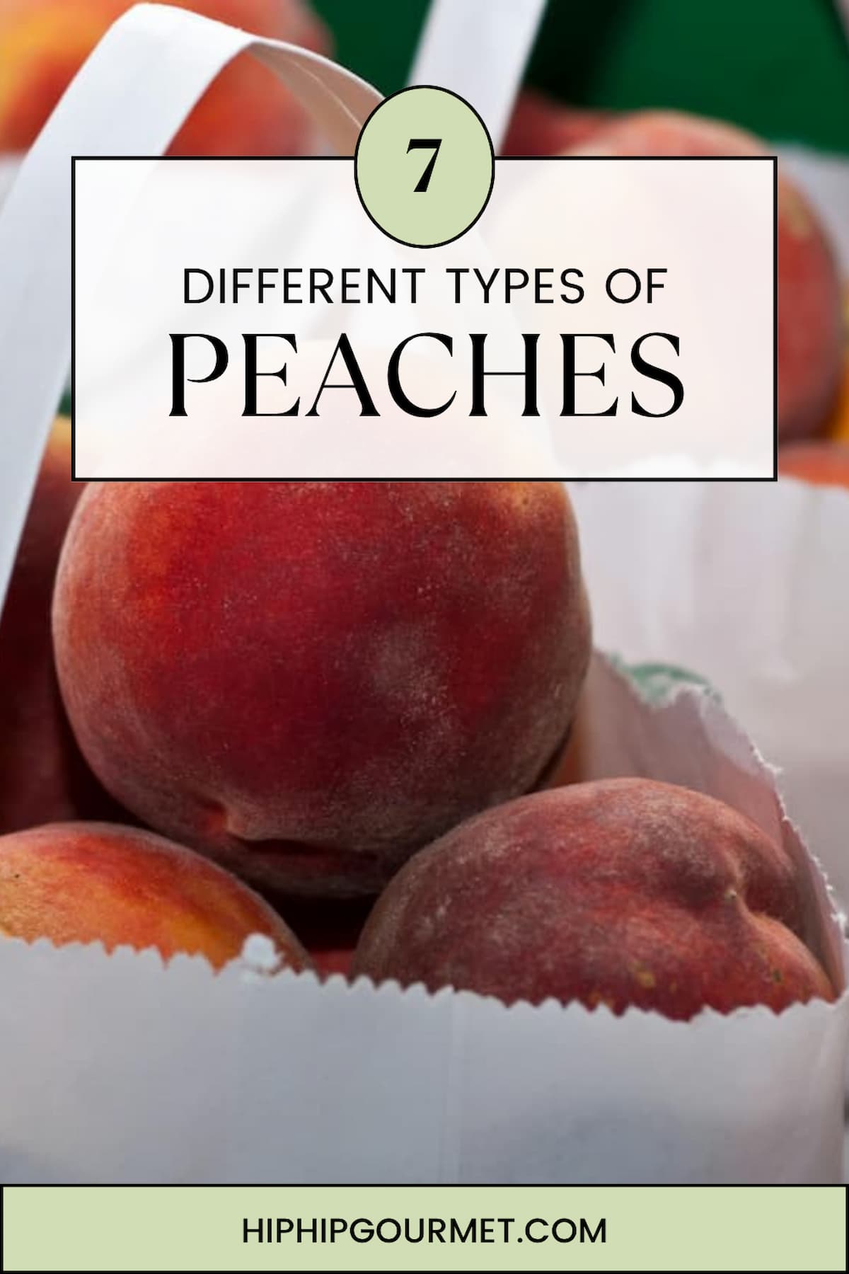 PIN FOR TYPES OF PEACHES