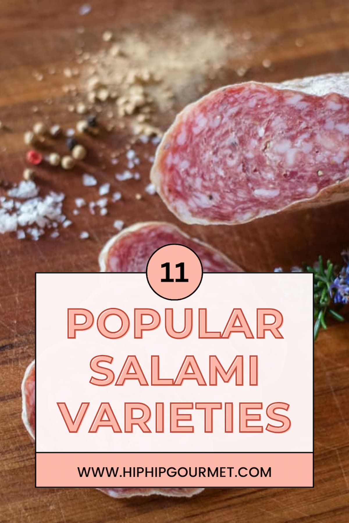 PIN FOR TYPES OF SALAMI