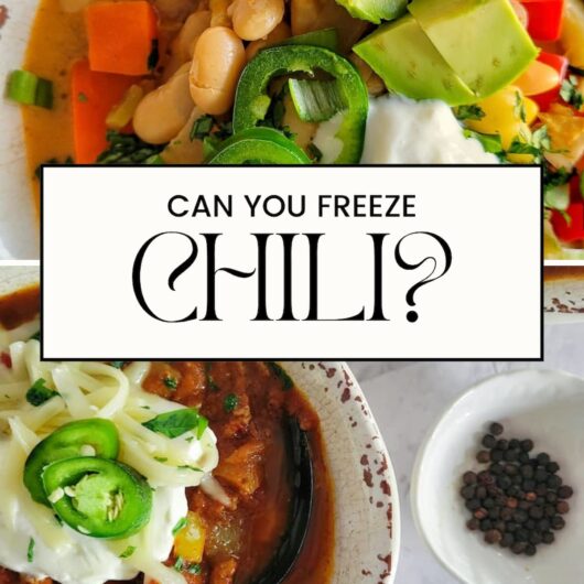 PIN FOR CAN YOU FREEZE CHILI